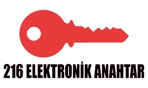 216 Elektronik Anahtar