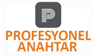 Profesyonel Anahtar