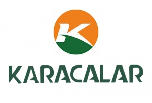 Karacalar