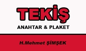 Tekiş Anahtar