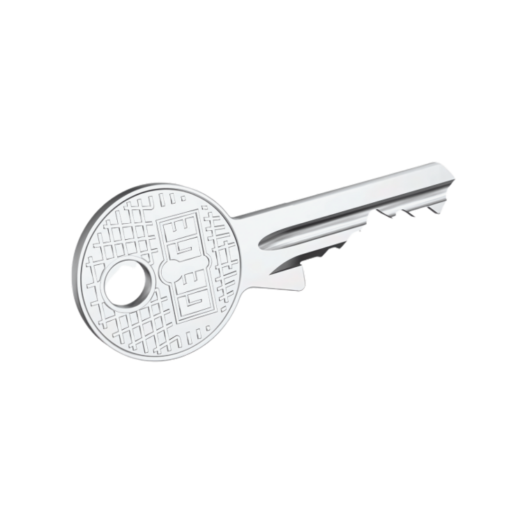 AP1000 işlenmiş metal başlıklı anahtar - 1