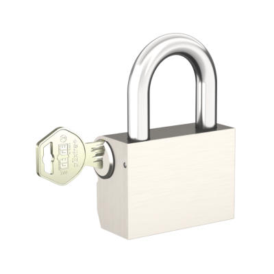 Asma Kilit 45 mm Satın Alın - dormakaba Pextra+