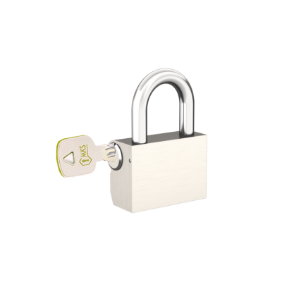 Asma Kilit 45 mm Satın Alın - MKS Axis Guard